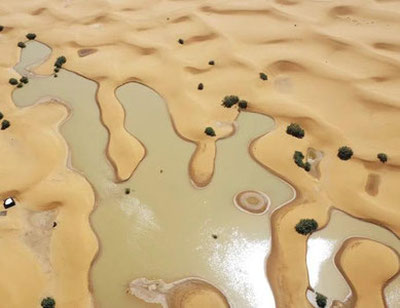 Image of 'Due to heavy rain, the Sahara Desert was flooded.'