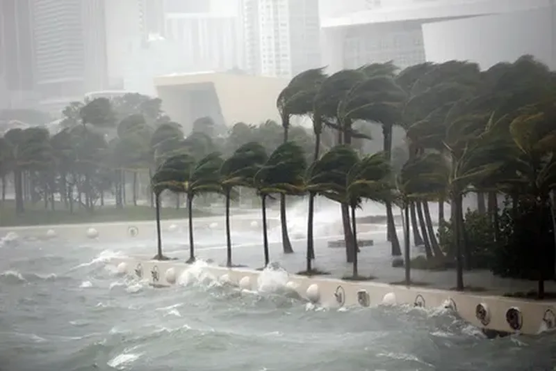 'Floridadagi o‘zbekistonliklar ehtiyot choralarini ko‘rishlari so‘ralmoqda'ning rasmi