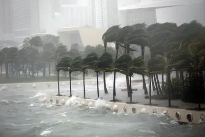 'Floridadagi o‘zbekistonliklar ehtiyot choralarini ko‘rishlari so‘ralmoqda'ning rasmi