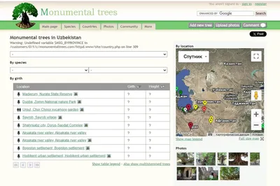 Изрображение 'Вековые деревья Узбекистана включены в международный список (фото)'
