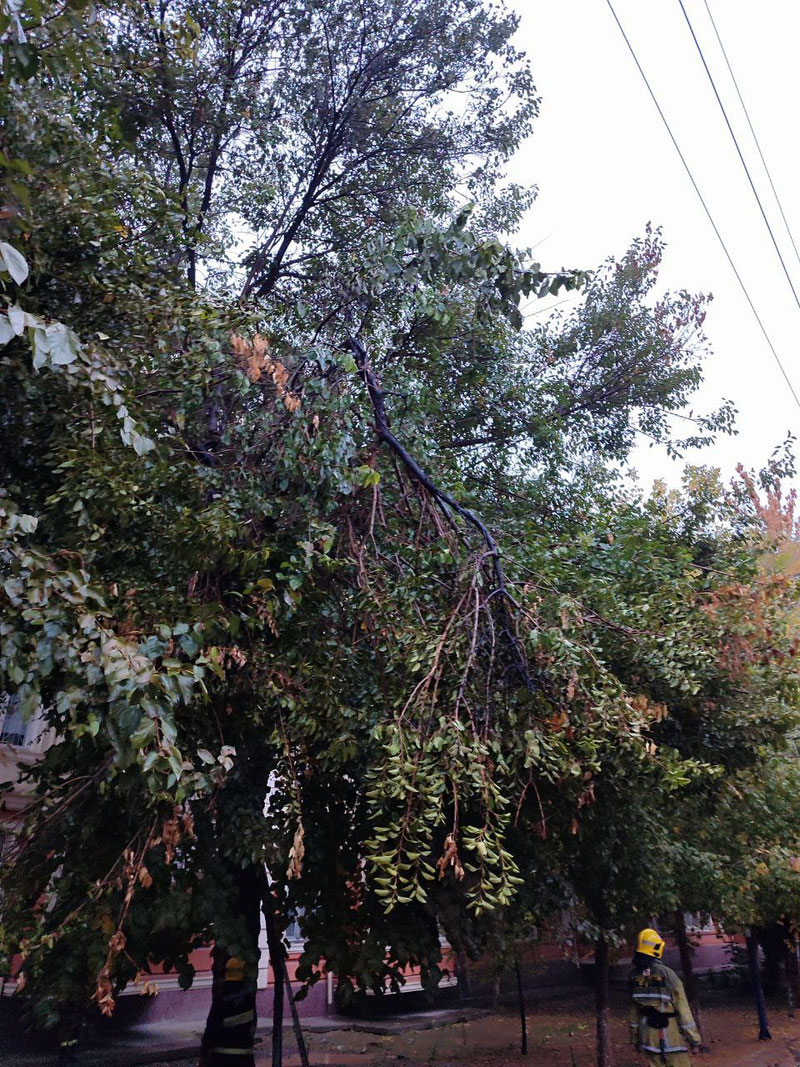 Image of 'Due to adverse weather conditions in Tashkent, a fire broke out in a high-voltage electrical equipment.'