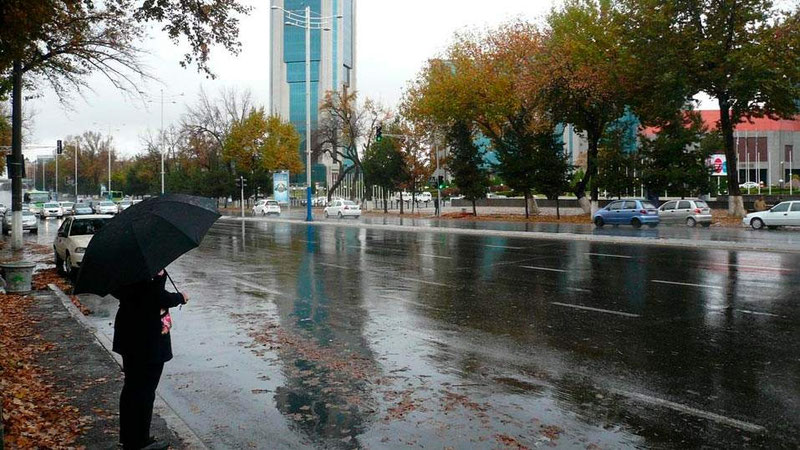 Image of 'Today, rain will fall in several regions of Uzbekistan.'