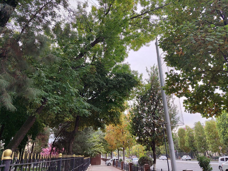 Изрображение 'К пятнице в Узбекистане немного потеплеет'