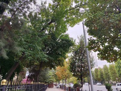 Изрображение 'К пятнице в Узбекистане немного потеплеет'