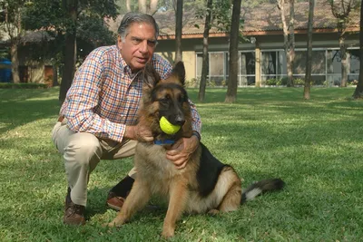 Image of 'The Indian millionaire left his fortune to his dog in his will.'