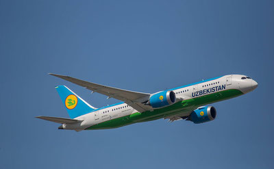 Image of 'The plane flying from Tashkent to New York made an emergency landing because a woman went into labor.'