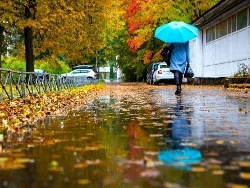 Image of 'Today, rain is expected in 6 regions as well.'