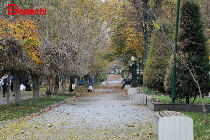 'Bugun O‘zbekistonda harorat 7-12 daraja atrofida bo‘ladi'ning rasmi