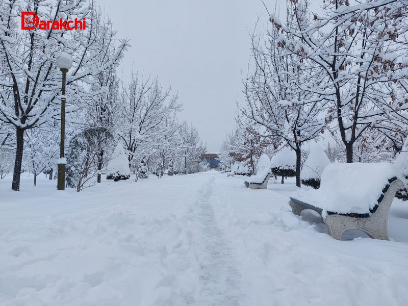 Image of 'Today, snow will fall in the northern regions of Uzbekistan.'