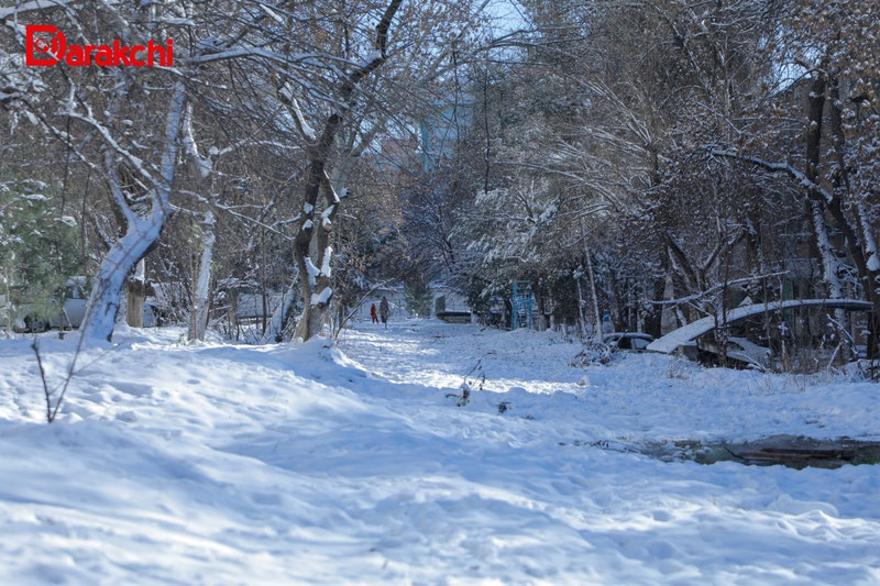 Image of 'Today, snow will fall in several regions of Uzbekistan.'