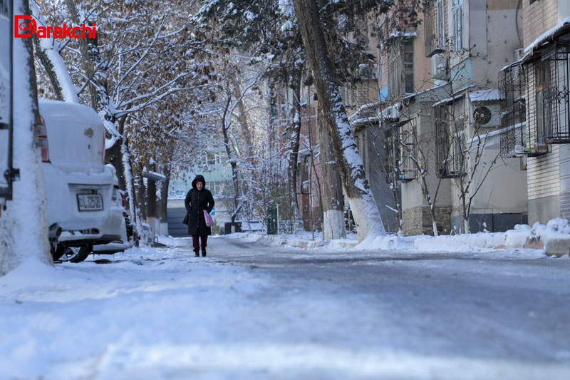 Изрображение 'Зима возвращается: на неделе в Узбекистане резко похолодает, временами осадки'