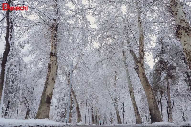 Изрображение 'После морозного и снежного дня в Узбекистане начнется бурное потепление'
