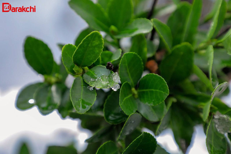 Image of 'Today will be a day without rain in Uzbekistan.'