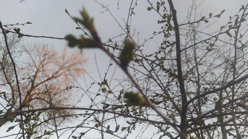 Изрображение 'Какая погода нас ждет на праздничных выходных?'