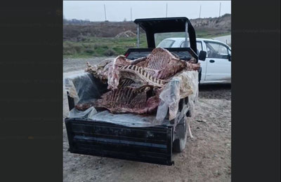 Image of 'A butcher who slaughtered a donkey and sold its meat was arrested in Samarkand.'