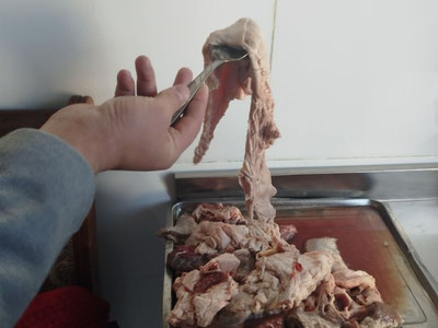 'Навоийда боғча болаларига яроқсиз гўшт берилаётгани аниқланди'ning rasmi