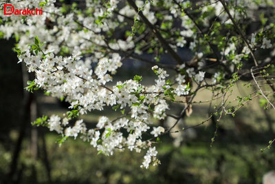 Image of 'This March has been relatively warm.'