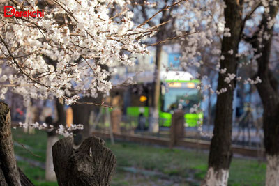 Изрображение 'В Ташкенте к вечеру возможен дождь с грозой'