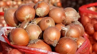 'Пиёз нархи нега қимматлашди?'ning rasmi