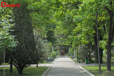 Изрображение 'В Ташкенте сегодня +31'