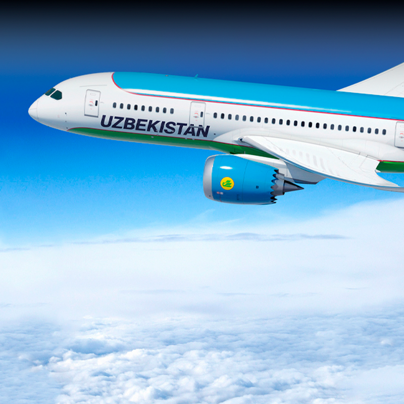 Image of 'Airlines that have caused the artificial scarcity of air tickets will be held accountable.'