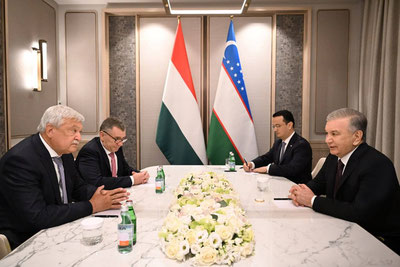 'Shavkat Mirziyoyev "OTP Bank Group" direktorlar kengashi raisi Shandor Chani bilan uchrashuv o‘tkazdi'ning rasmi