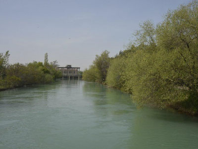 Image of 'A citizen drowning in a canal in Syrdarya was rescued.'