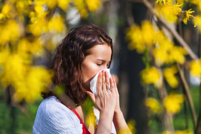 Image of 'How is it possible to distinguish seasonal allergies from a cold?'