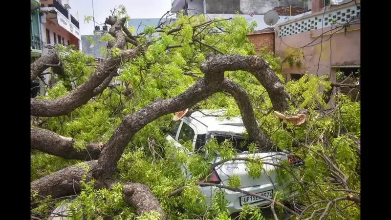 Image of 'Due to heavy rain and thunderstorms in India, 45 people died.'