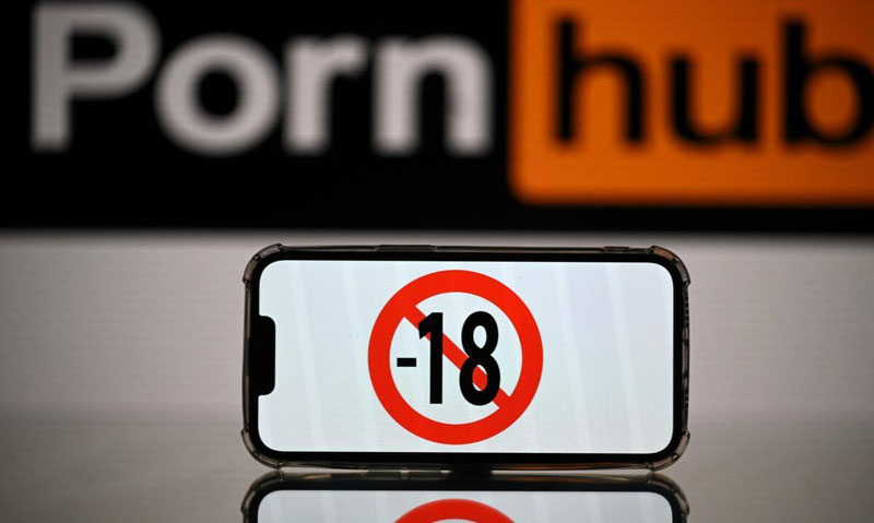Image of 'The European Commission launched an investigation against Pornhub and other adult platforms.'