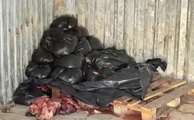 Изрображение 'На пути в Ташкент остановили автомобиль с 361 кг ослиного мяса (видео)'