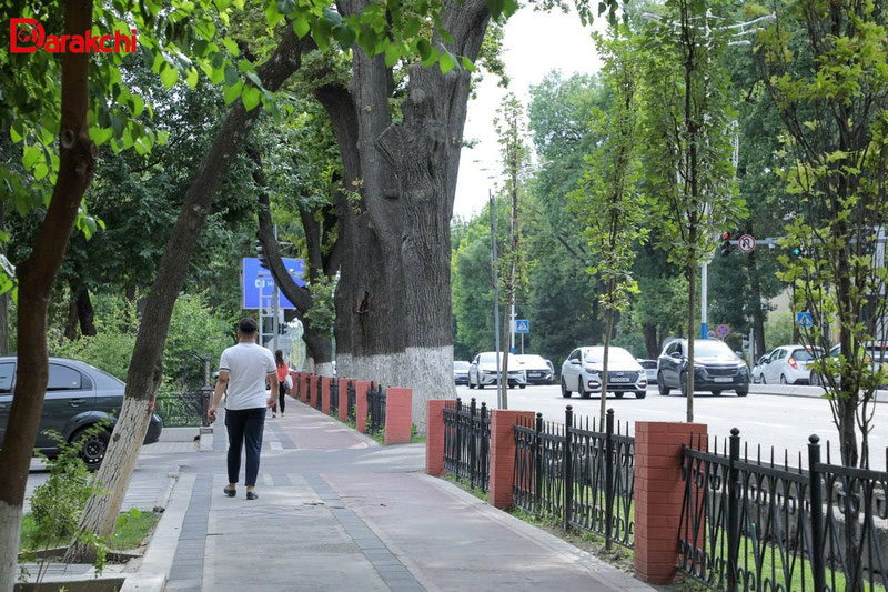 'Bugun ob-havo qanday bo‘lishi aytildi'ning rasmi