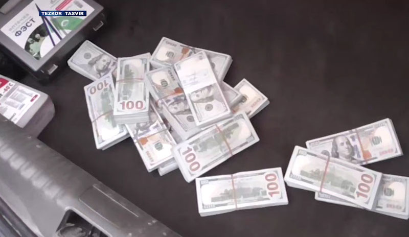 Image of 'Illegal land deal: A $500,000 violation exposed'