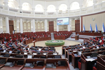 Изрображение 'Сотрудники ОВД и МЧС смогут наказывать за растрату электроэнергии'