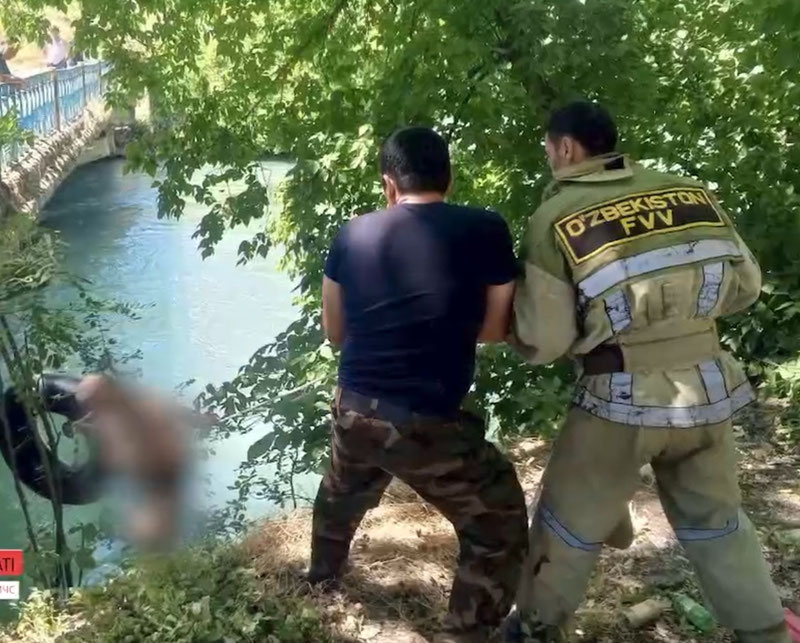 'Toshkent viloyatida fuqaro kanalga tushib ketdi'ning rasmi