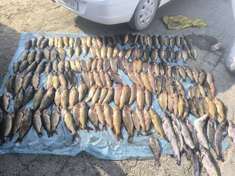 Image of 'In Bukhara, 2 citizens were caught illegally fishing.'