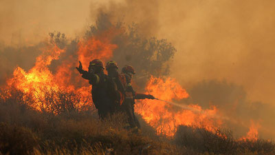 Image of 'A severe forest fire broke out on the island of Crete.'