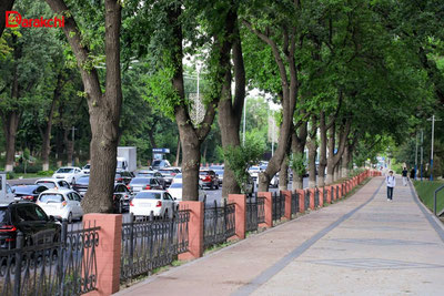 Image of ''