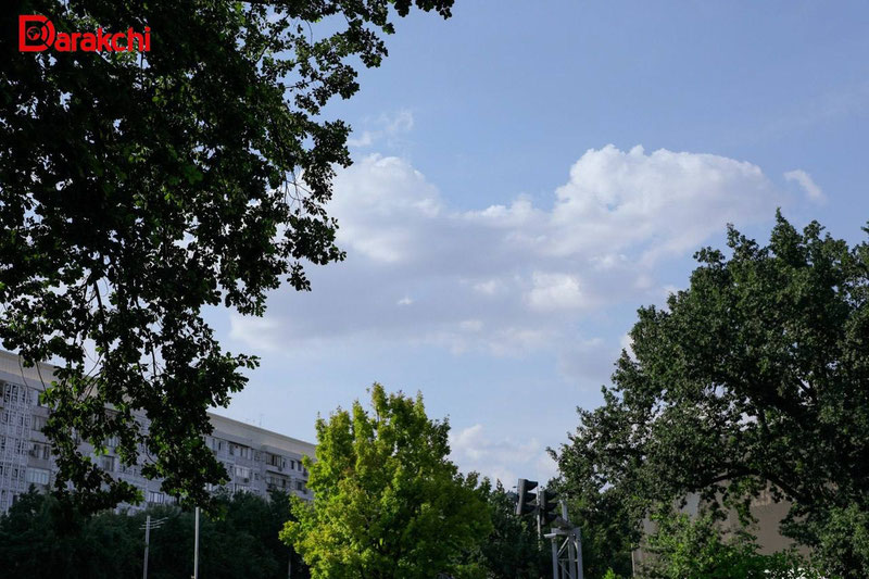 'Bugun qanday ob-havo bo‘lishi aytildi'ning rasmi
