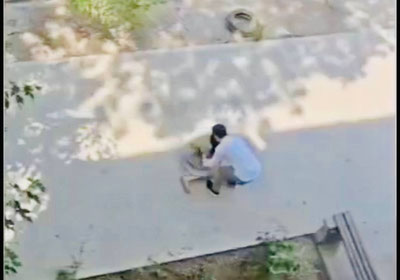 Изрображение 'В Ташкенте мужчина избивал знакомую во дворе дома: ему дали 15 суток ареста'