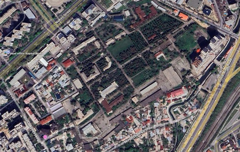 Image of 'Where have the trees disappeared to?'