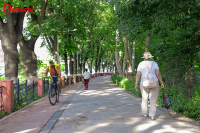 Изрображение 'В Ташкенте сегодня +40'