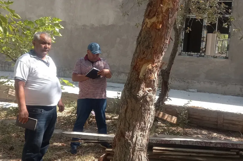 Изрображение 'В Бухаре во время строительства в медцентре при незаконной пересадке погибли 26 деревьев'