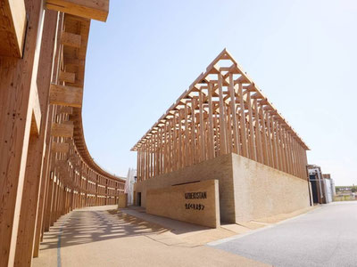 Image of '"Expo Osaka 2025": Uzbekistan pavilion awarded a high honor'