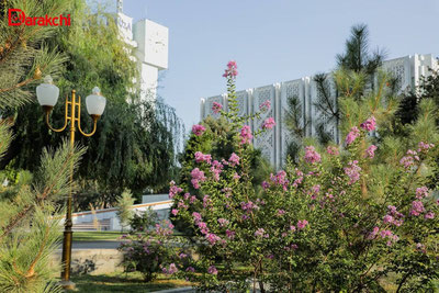 Image of 'Today the air temperature will rise to 42 degrees'