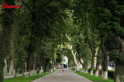 Изрображение 'В Ташкенте сегодня будет на три градуса прохладнее, чем вчера'