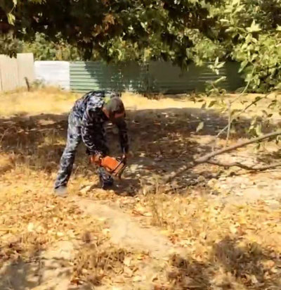 Изрображение '"Ради озеленения": власти высказались по поводу вырубки деревьев в Кибрае'