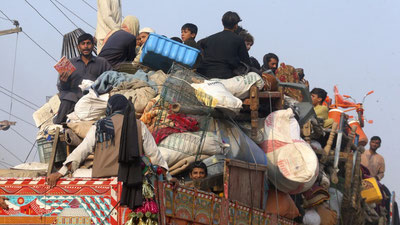 Image of ''