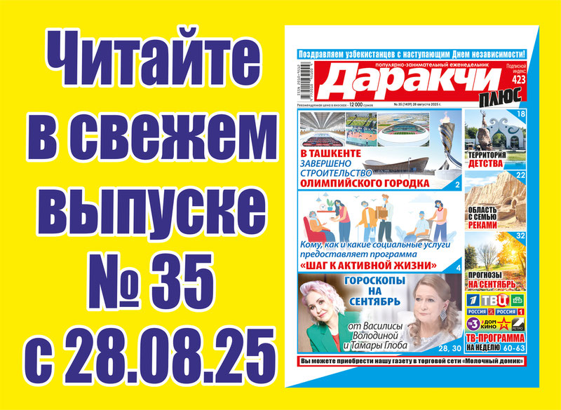 Изрображение 'Кому, как и какие социальные услуги предоставляет программа «Шаг к активной жизни»?'