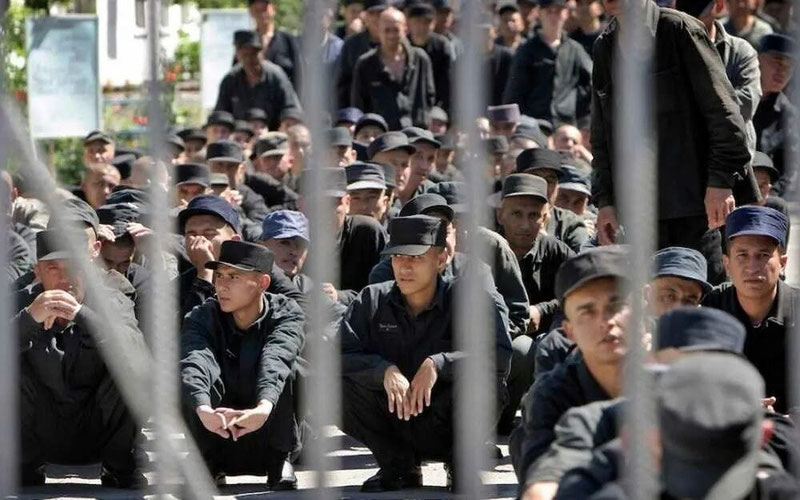 Image of 'The president pardoned 523 convicts.'